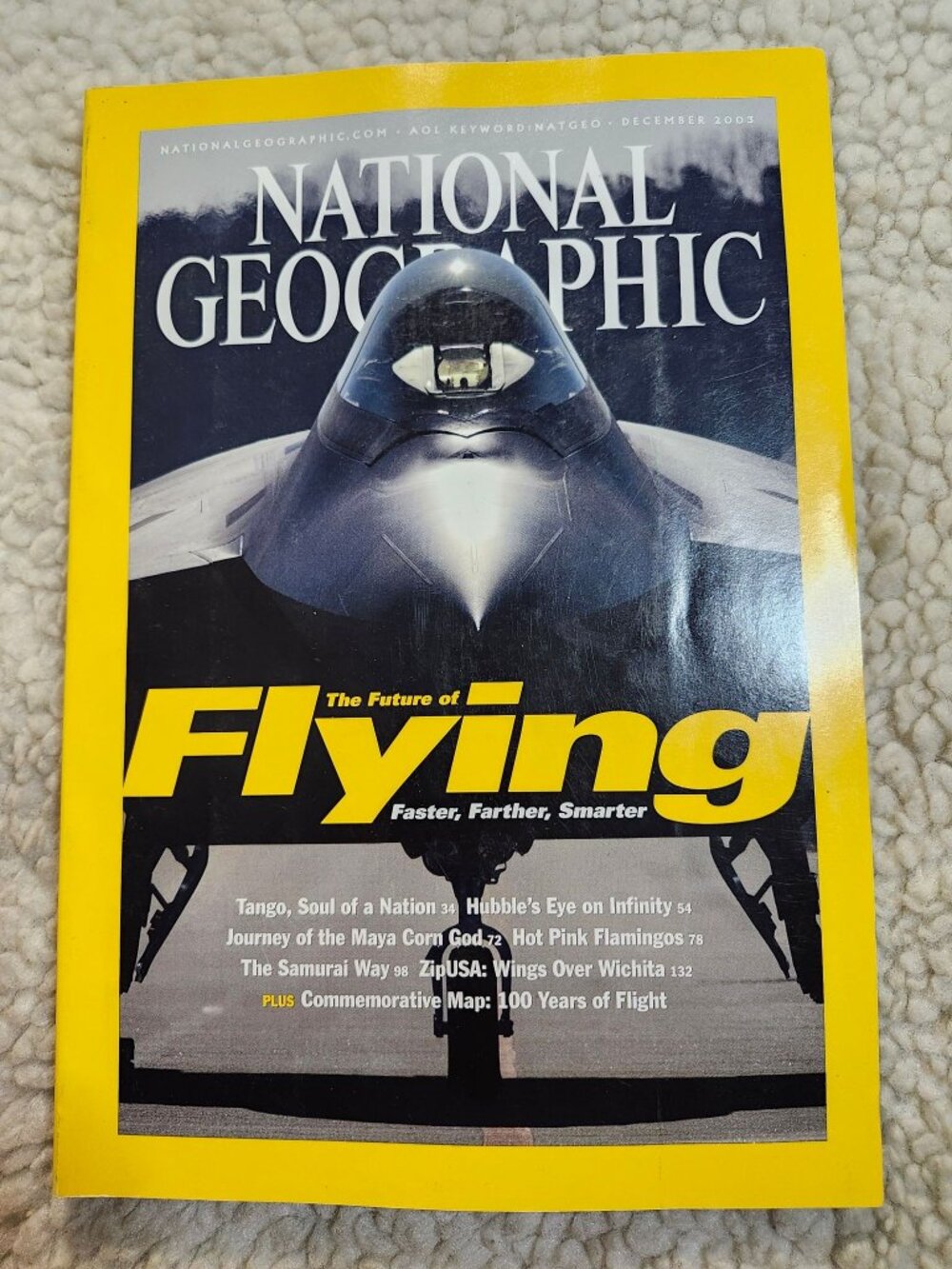 National Geographic Magazine Dec 2003 Flying Cover Aviation Feature Poster